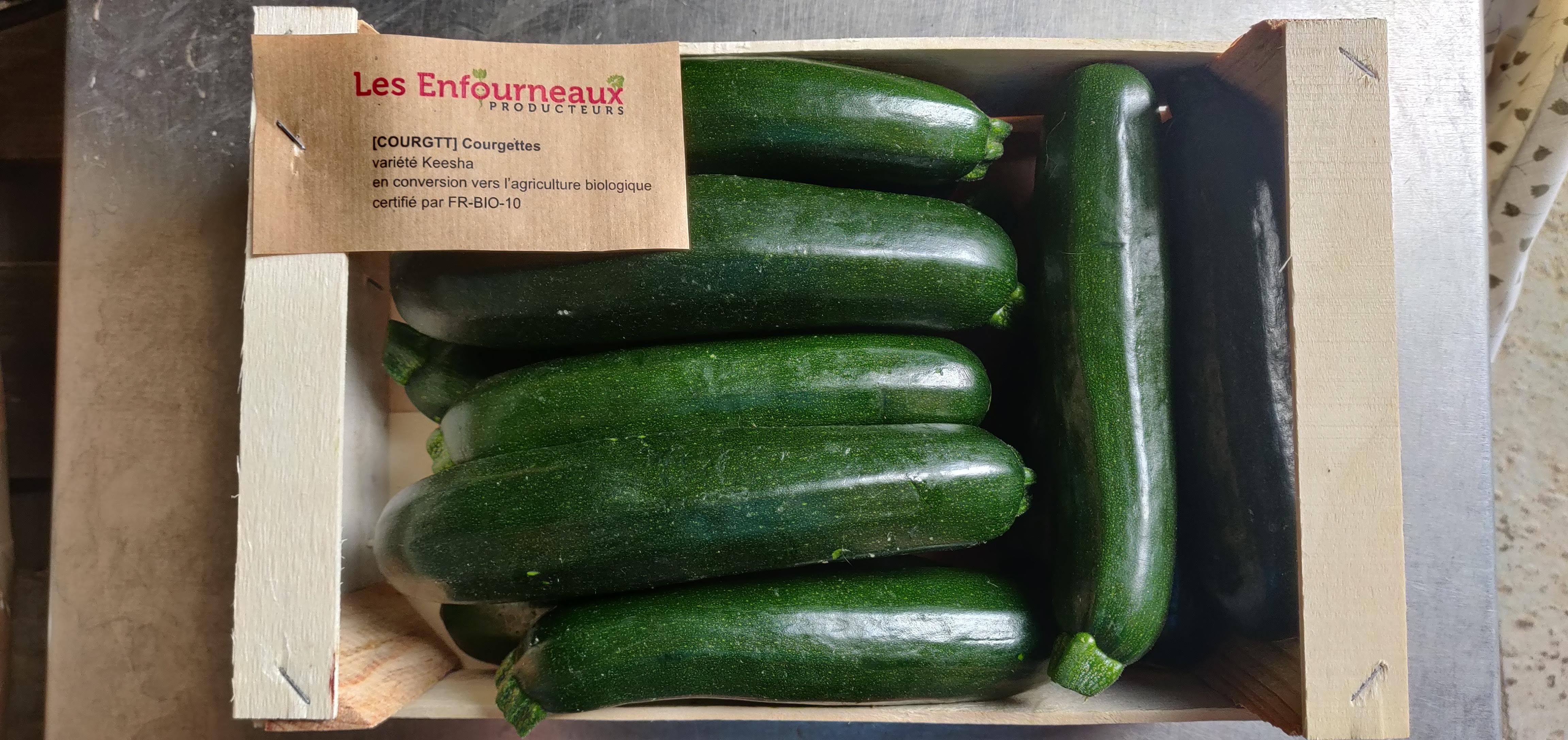 Courgettes