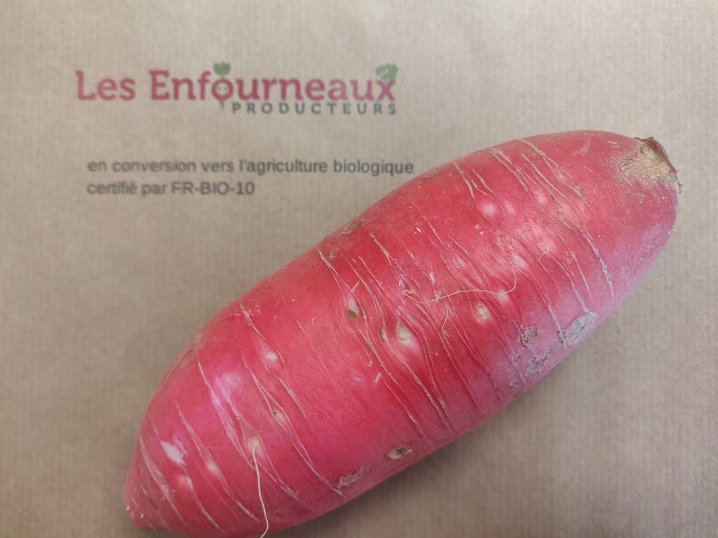 Spiruline en paillettes - 100g (France)