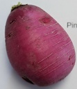 Radis Pink Meat AB*