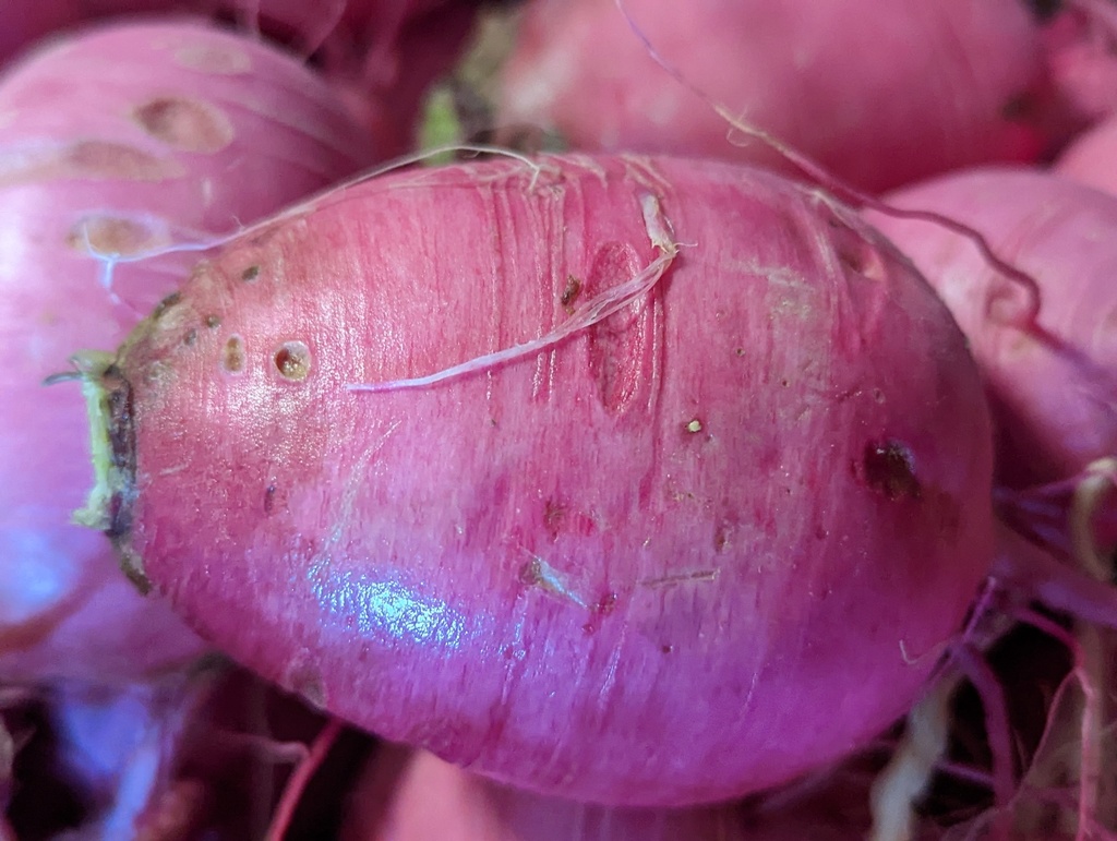 Radis Pink Meat AB*