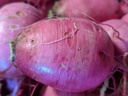 Radis Pink Meat AB*