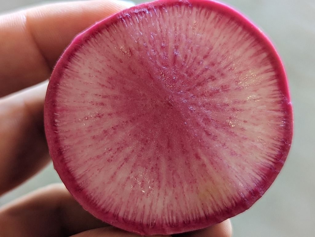 Radis Pink Meat AB*