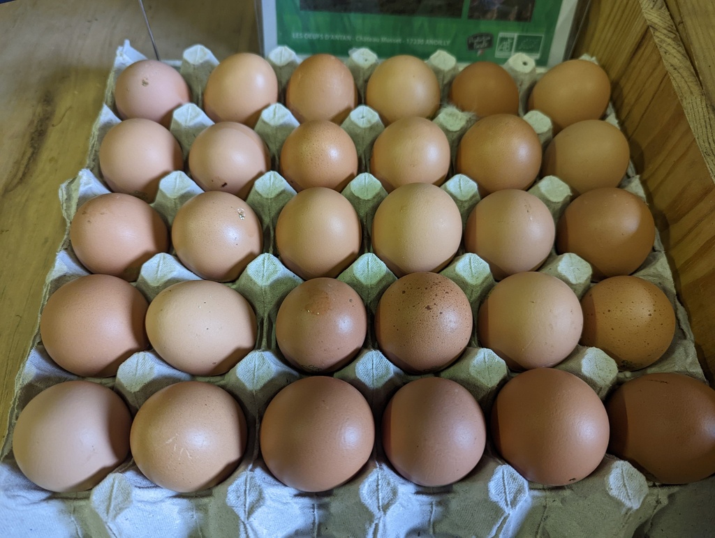 Oeufs AB par 6 - Les Oeufs d'Antan
