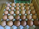 Oeufs AB par 6 - Les Oeufs d'Antan