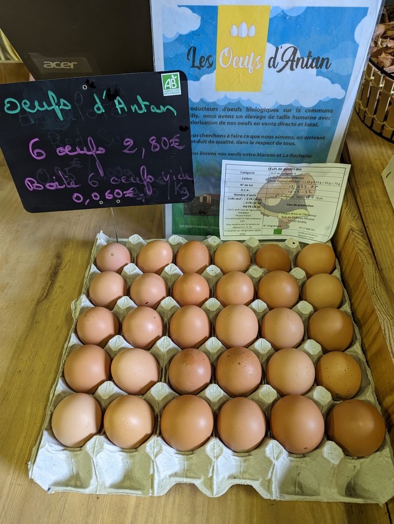 Oeufs AB par 6 - Les Oeufs d'Antan