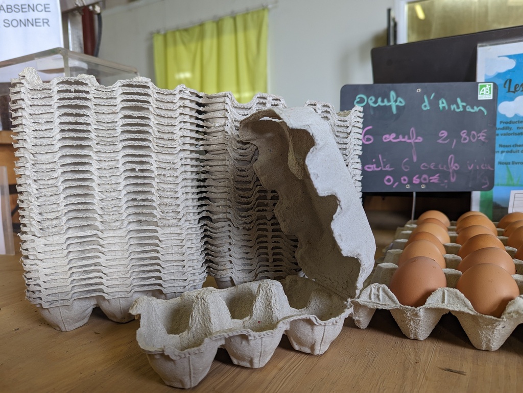 Boîte à 6 oeufs vide